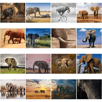 Pășuni Peisaj Elefant African 5D Diy Diamant Pictura cruciulițe Kituri de Diamant Mozaic Broderie Animale Pictura Cadou